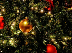 64% астраханцев любят новогодние каникулы