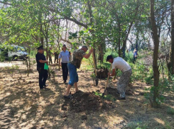 Под Астраханью накажут собственников земель с наркосодержащими растениями
