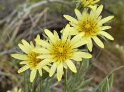 Погода, праздники, именины в четверг 2 мая
