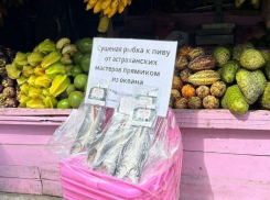 Астраханскую рыбу сфотографировали на Шри-Ланке 