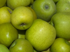 Астраханский завод по производству томатной пасты перейдет на яблочное пюре