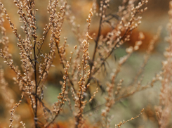 Сегодня за окном ясная и солнечная погода