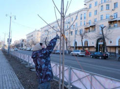 Астраханские озеленители готовят город к весне