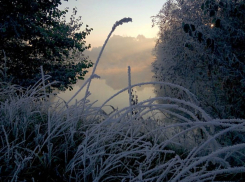 В Астрахани ночью 11 сентября ожидаются заморозки