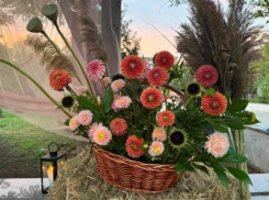 В Астрахани вновь проведут трехдневный фестиваль «Цветочная симфония»