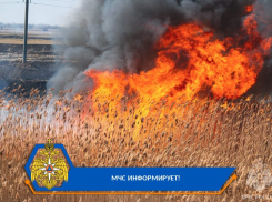 По Астрахани и двум районам области распространился запах гари