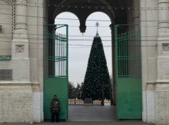 Осторожно: астраханцев предупредили об активизации мошенников перед Новым годом