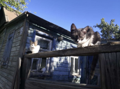 Погода, праздники, именины в пятницу 29 сентября