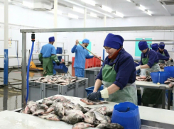 В Астраханской области прогнозируется рост цен на рыбную продукцию