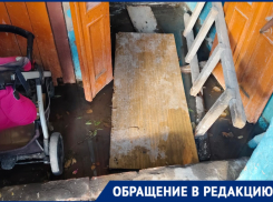 Жители дома № 56 на улице Николая Островского встретили Новый год с мышами и комарами