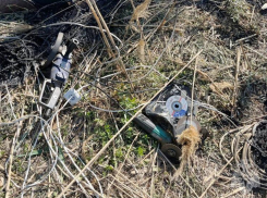 В Астраханской области нашли виновника пожара рядом с детским лагерем