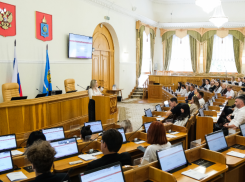Общественный молодежный парламент при Думе Астраханской области провел образовательный лекторий по вопросам законодательной деятельности