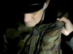 В Астрахани зоозащитники схватили пенсионера за грудки и обвинили в травле собак 