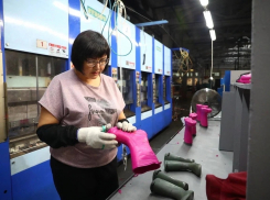  Астраханские предприятия могут взять на работу трудовых мигрантов 