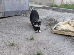 Погода, праздники, именины в среду 10 апреля