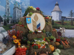 Выставка животных и фестиваль арбузов: что ждет астраханцев на агрофестивале