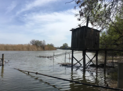 В Астраханской области судоводитель пострадал в столкновении с деревом