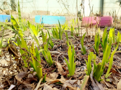 Какая погода ждет астраханцев 24 марта