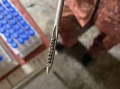 В Астраханской области очень редкие рыбы готовятся метать икру