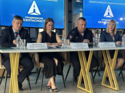 В Астраханской области стартовала масштабная кампания в защиту пешеходов