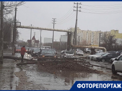 Ураган в Астрахани привел к массовому «деревопаду»