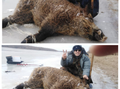 «У меня чуть пупок не развязался»: как астраханцы кабана из воды доставали