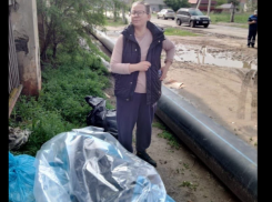 Астраханская полиция начала проверку квартиры, в которой хранили трупы бродячих собак 