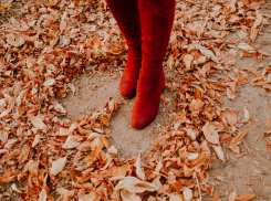 Бабьему лету быть: прогноз погоды в Астрахани на следующую неделю 