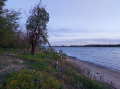 Стала известна точная дата пика половодья в Астраханской области