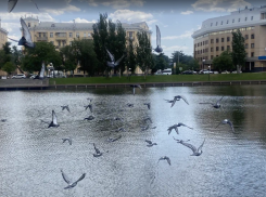Прогноз погоды, именины, праздники в Астрахани в воскресенье 23 июля