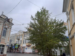 Понедельник в Астрахани будет пасмурным и очень ветренным: прогноз на 14 ноября