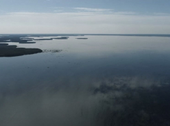 Крикливые птицы начинают слетаться в астраханскую дельту