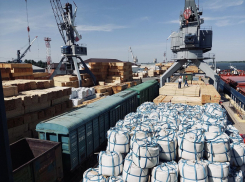 В Астраханскую область из Афганистана поставляют необычный товар