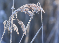 МЧС: заморозки возвращаются в Астраханскую область