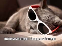 23% опрошенных астраханцев уверены: идеальный отпуск длится больше месяца
