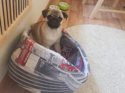 Источник: в Астраханской области с 12 мая не ослабят карантинные меры