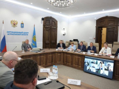 Астраханское правительство увидело положительные результаты запрета вылова воблы
