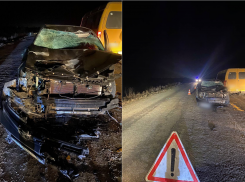 На автодороге «Астрахань – Красный Яр» водитель сбил лошадь и въехал в «газель»