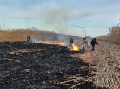 В астраханском заповеднике почти три дня тушили крупный пожар
