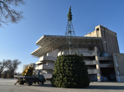 В Астрахани в парке «Аркадия» начали ставить главную елку города