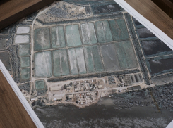 Под Астраханью начали разводить родителей-гибридов редкой рыбы