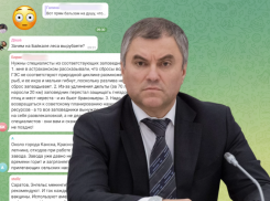 Астраханцы рассказали Вячеславу Володину об ужасном состоянии Волги и ее притоков