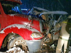 Прокуратура выяснит, кто виноват в смерти двух медработников в ДТП под Астраханью