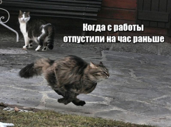 Астраханцы признались, чем займутся, если их отпустят с работы пораньше