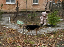 Астраханский суд отказался менять приговор руководству скандального приюта