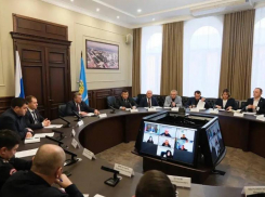 Астраханская служба ветеринарии опровергла слухи о заразных сайгаках