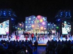 Астраханскую «Зимнюю сказку» посетили свыше 135 тысяч человек