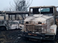 В Астраханской области кони спровоцировали крупное ДТП