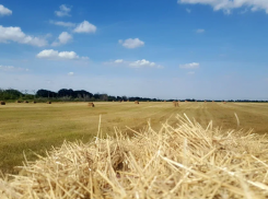 Наримановскому району Астраханской области вернули незаконно арендуемые земли