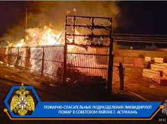  В Астрахани сгорели склад и автомобиль